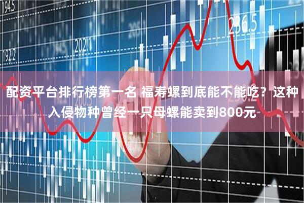 配资平台排行榜第一名 福寿螺到底能不能吃？这种入侵物种曾经一只母螺能卖到800元