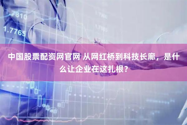 中国股票配资网官网 从网红桥到科技长廊，是什么让企业在这扎根？