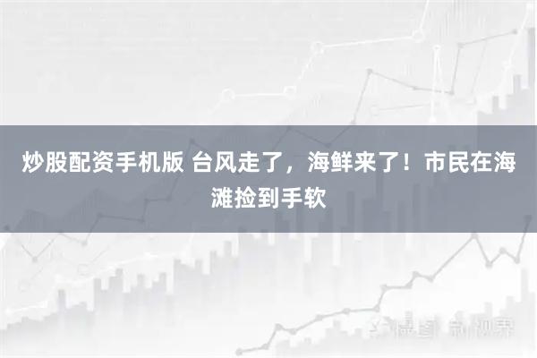 炒股配资手机版 台风走了，海鲜来了！市民在海滩捡到手软