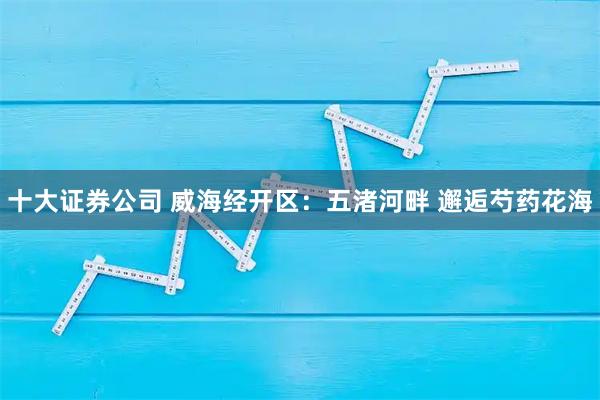 十大证券公司 威海经开区：五渚河畔 邂逅芍药花海